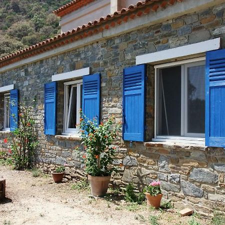 Lou Pastourel Villa Le Lavandou Dış mekan fotoğraf