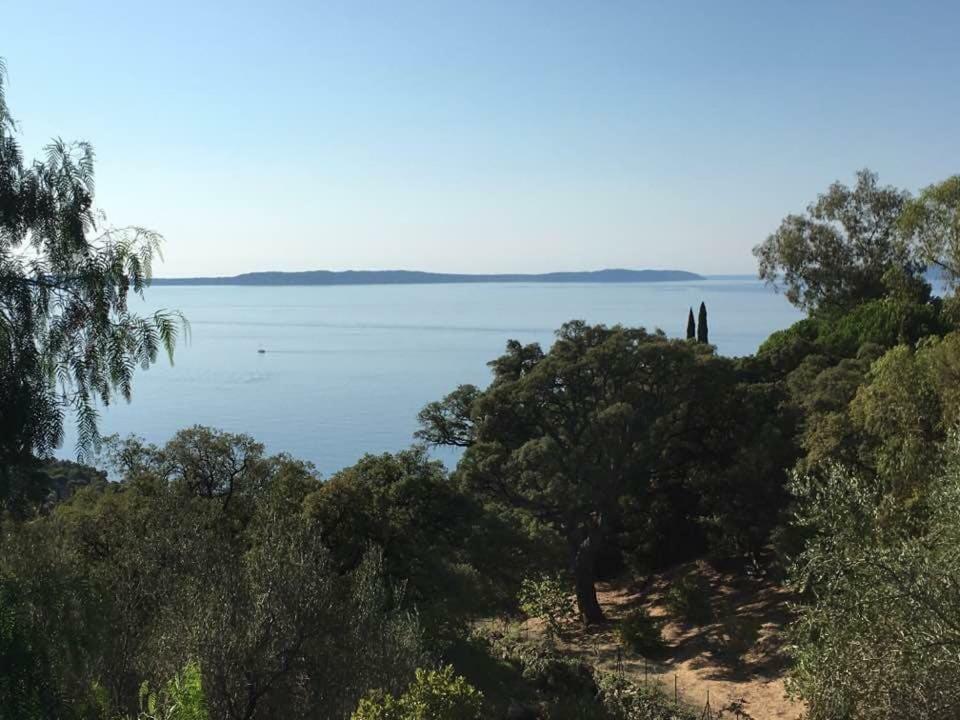 Lou Pastourel Villa Le Lavandou Dış mekan fotoğraf