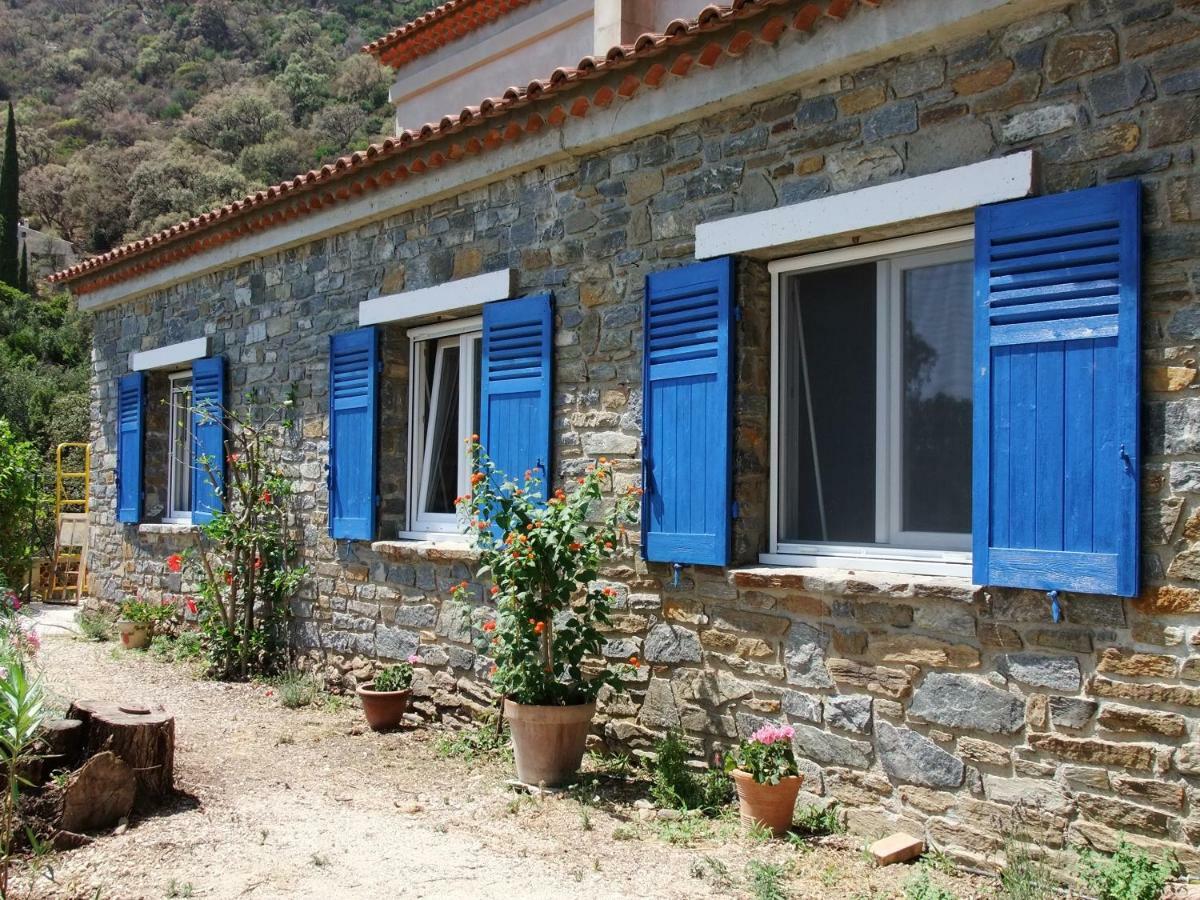 Lou Pastourel Villa Le Lavandou Dış mekan fotoğraf